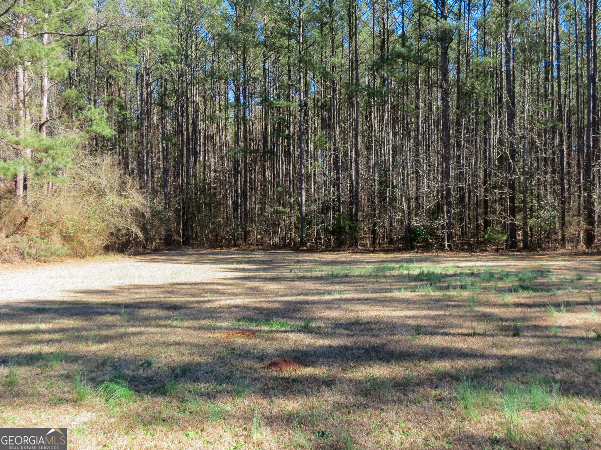 667 Hamilton Road Concord, GA 30206 - Photo 37 of 44