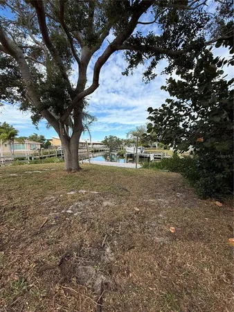 a view of a yard with an outdoor space