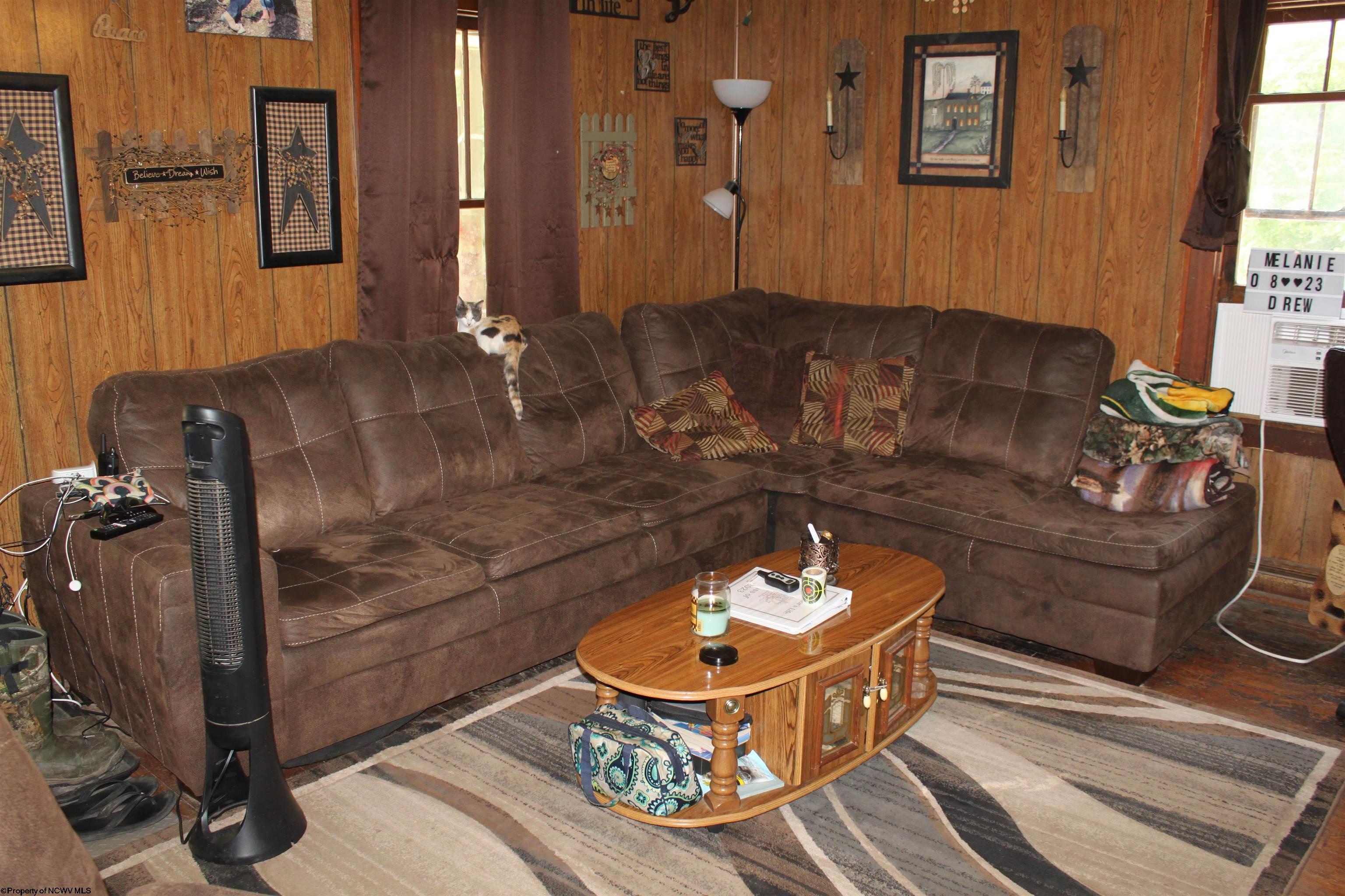 669 Webster Road Webster Springs, WV 26288 - Photo 5 of 19 Gallery Image 5