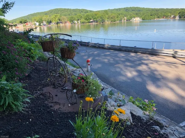 a view of a lake with a mountain