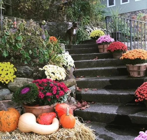 a view of a outdoor space