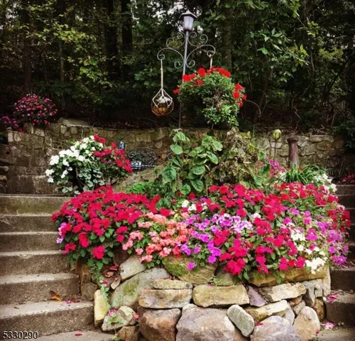 a view of a flower in a outdoor space