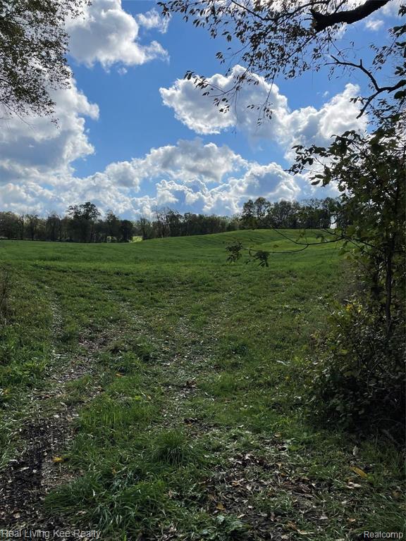V/l Delano Road Oxford, MI 48371 - Photo 5 of 7