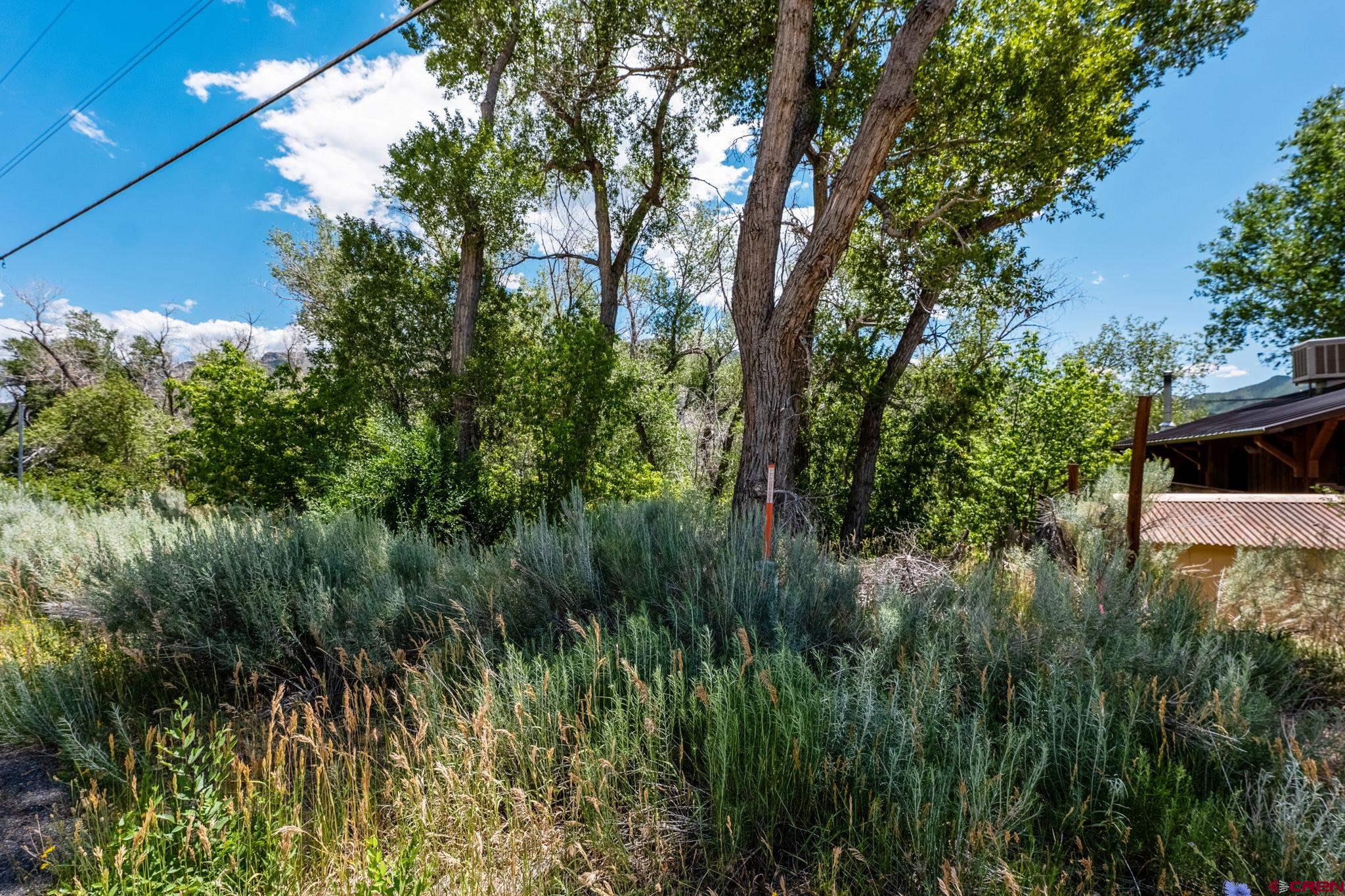 1110 Animas View Drive Durango, CO 81301 - Photo 2 of 32 a view of a yard with plants and a trees