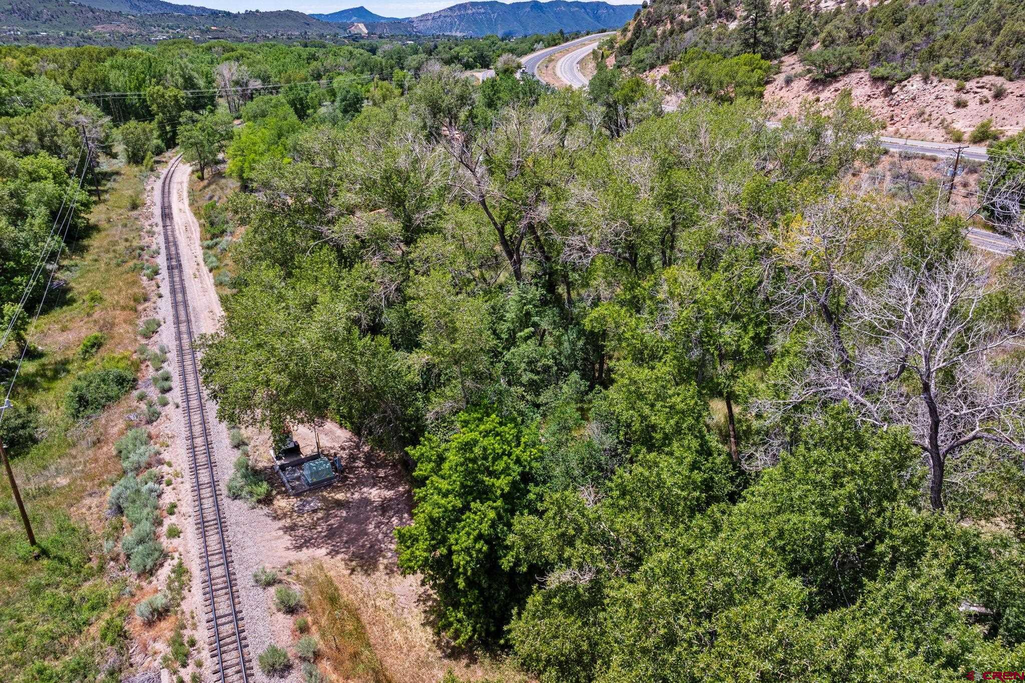 1110 Animas View Drive Durango, CO 81301 - Photo 24 of 32 a view of a forest with a houses