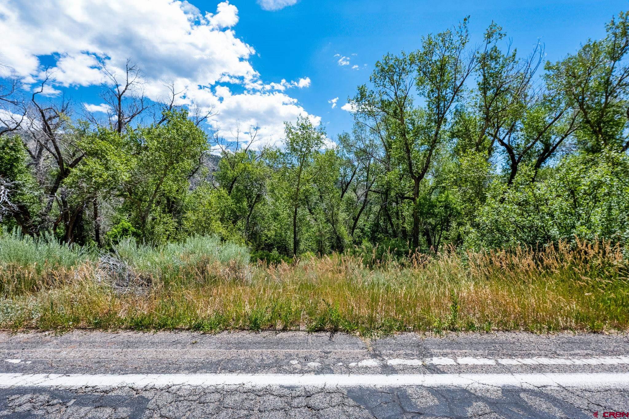 1110 Animas View Drive Durango, CO 81301 - Photo 4 of 32 a view of a yard