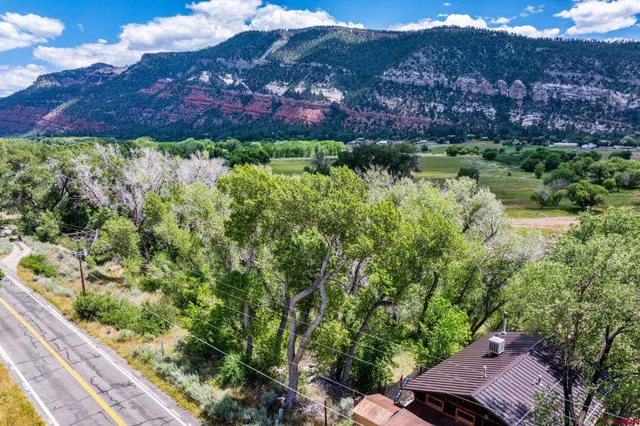 a view of a garden with a houses