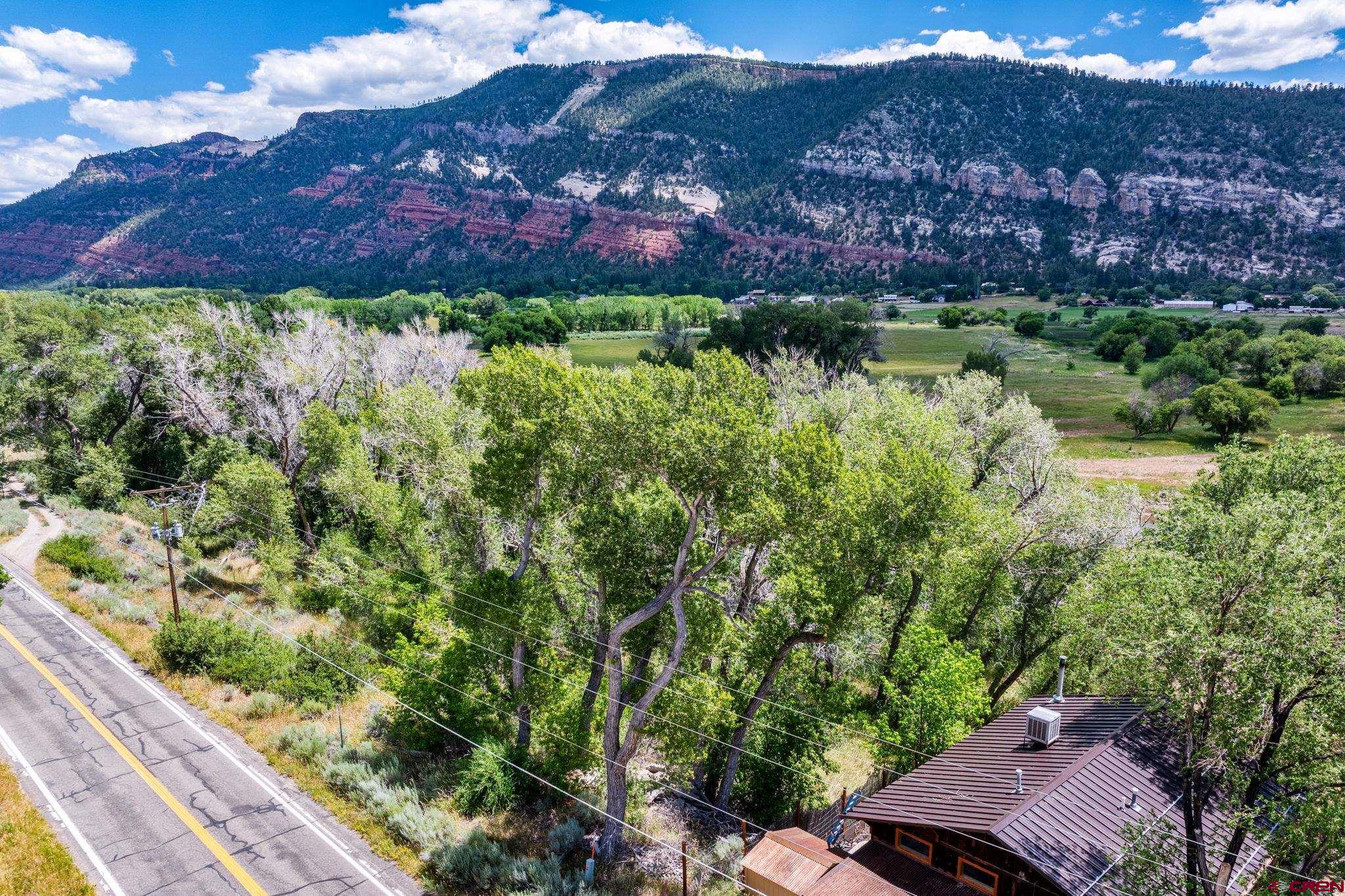 1110 Animas View Drive Durango, CO 81301 - Photo 5 of 32 a view of a garden with a houses