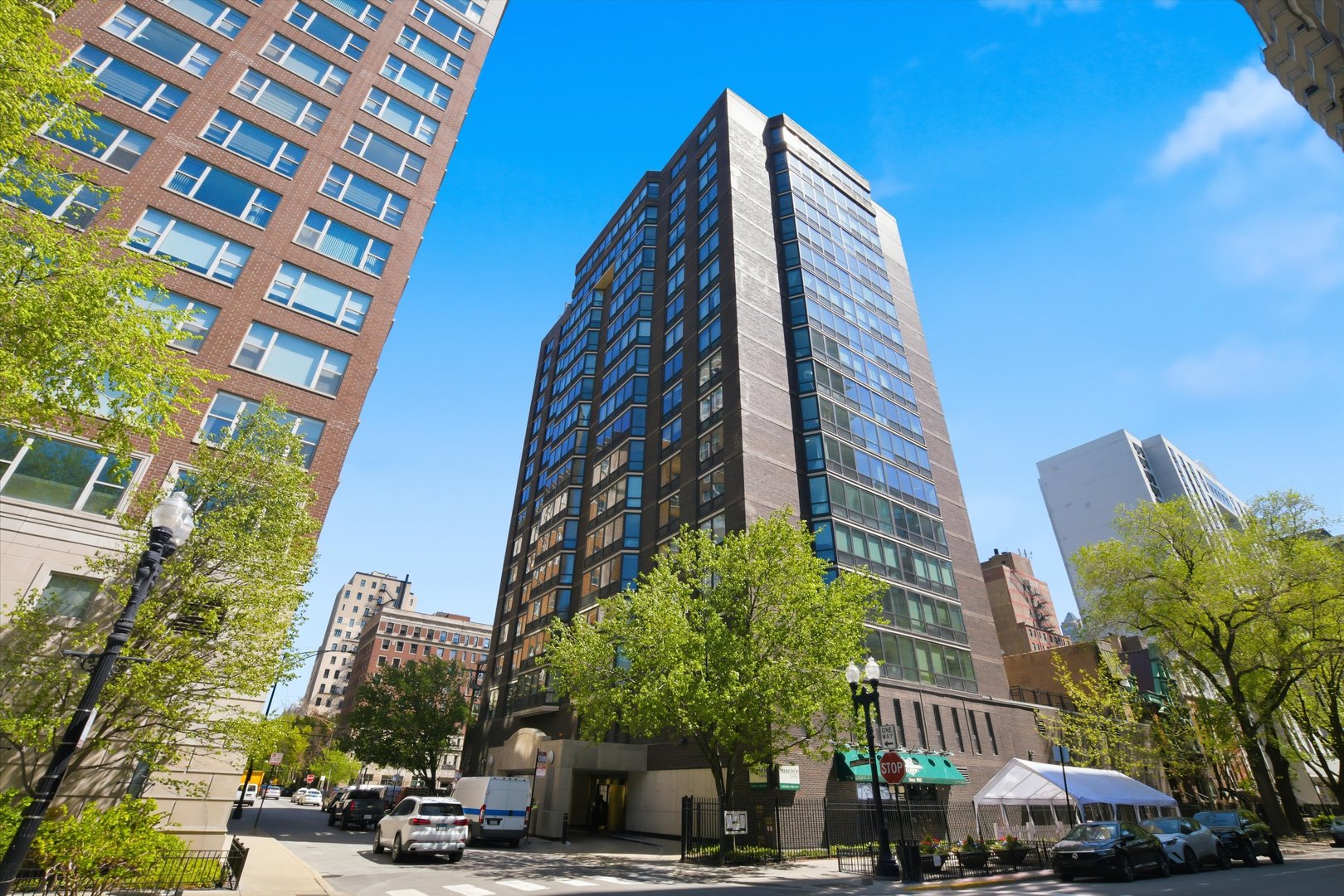 21 West Goethe Street, Unit 9J Chicago, IL 60610 - Photo 1 of 20