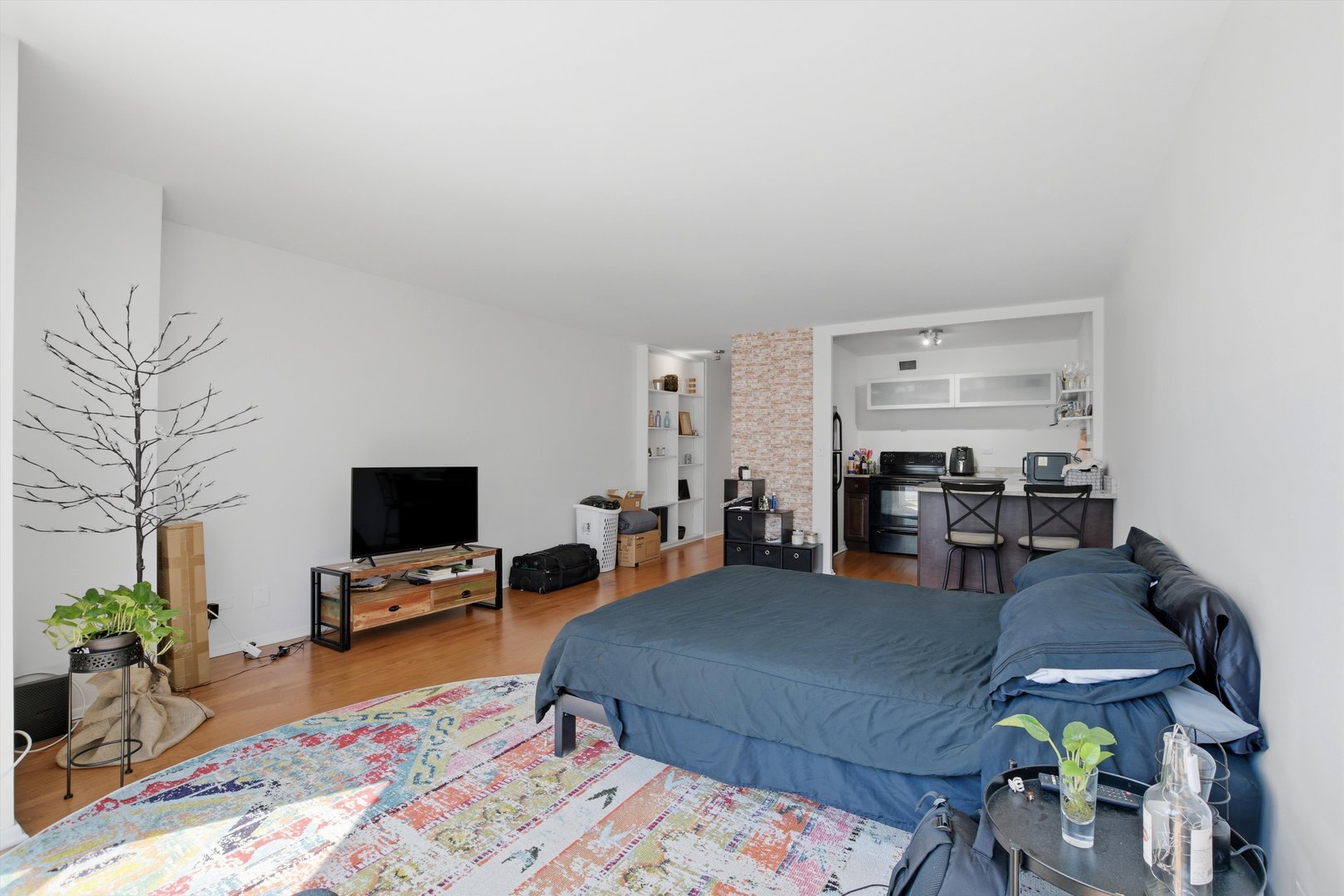 21 West Goethe Street, Unit 9J Chicago, IL 60610 - Photo 6 of 20