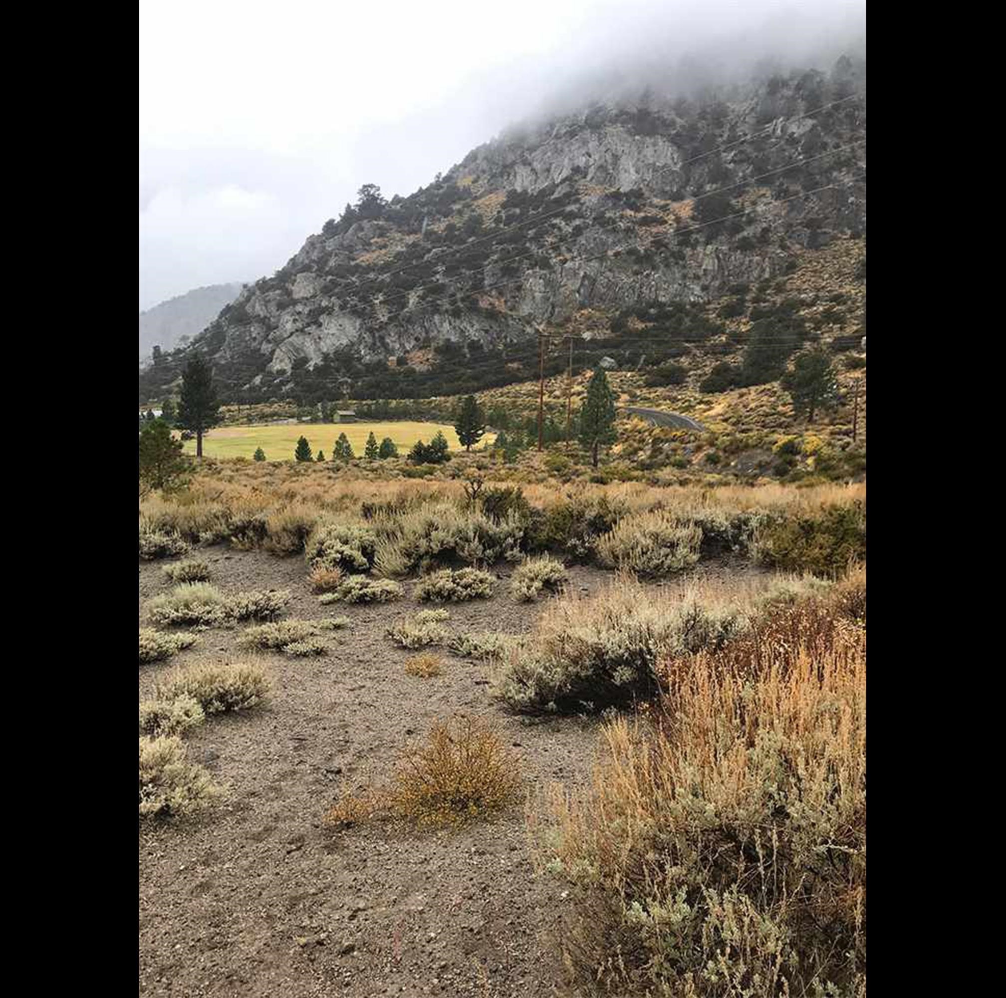 43 Highland Place, Unit 33 June Lake, CA 93529 - Photo 11 of 12