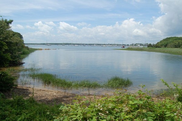150 Red Brook Harbor Road Bourne, MA 02534 - Photo 16 of 26 Gallery Image 16