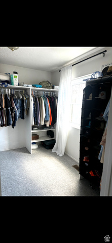 1324 West Raintree Drive, Unit 44 Price, UT 84501 - Photo 14 of 25 Walk-in closet featuring carpet flooring, a window with white sheer curtains, and built-in closet organizers with shelving and hanging rods