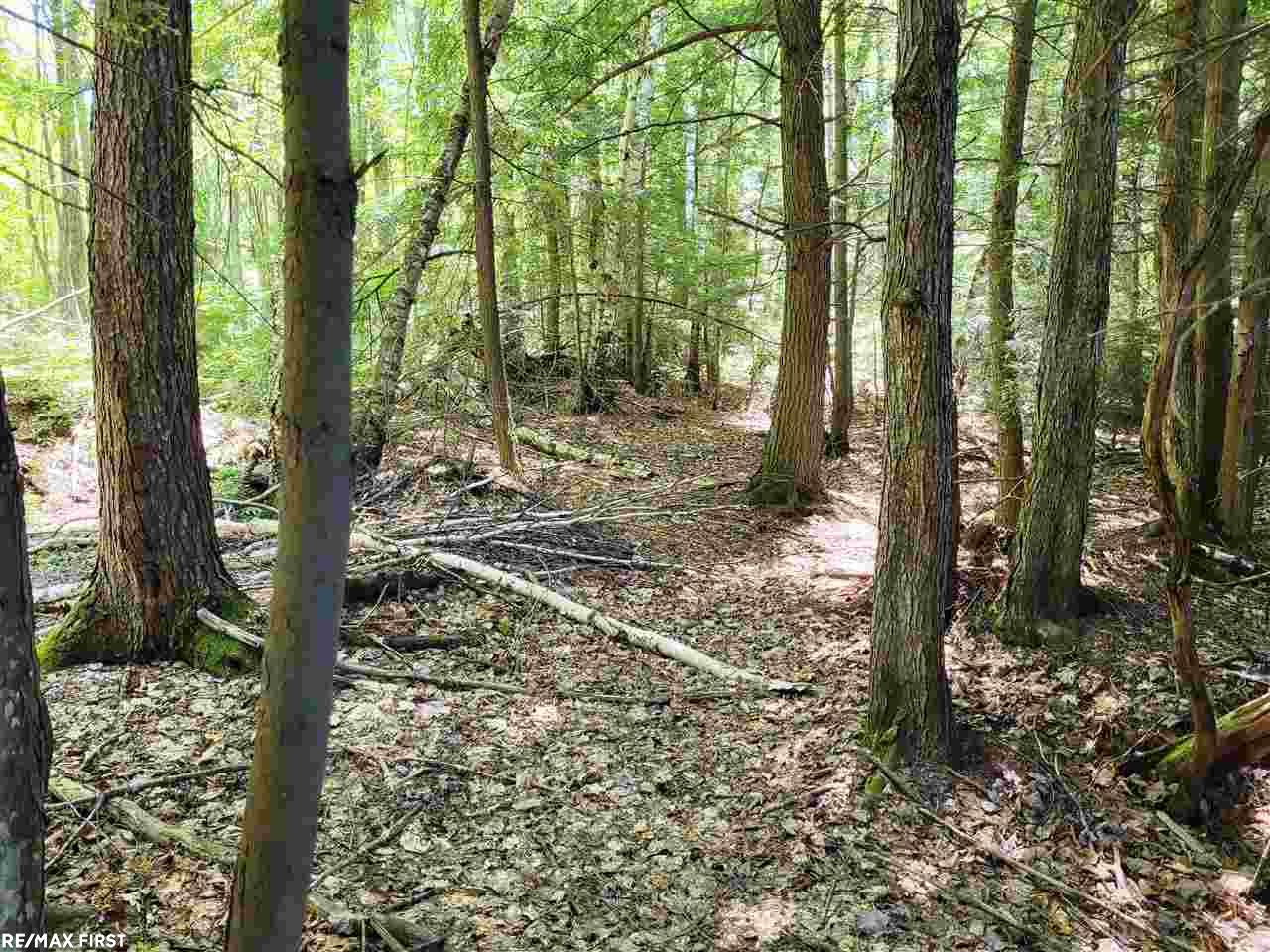 0 Engman Lake Access Road Skandia, MI 49885 - Photo 13 of 17