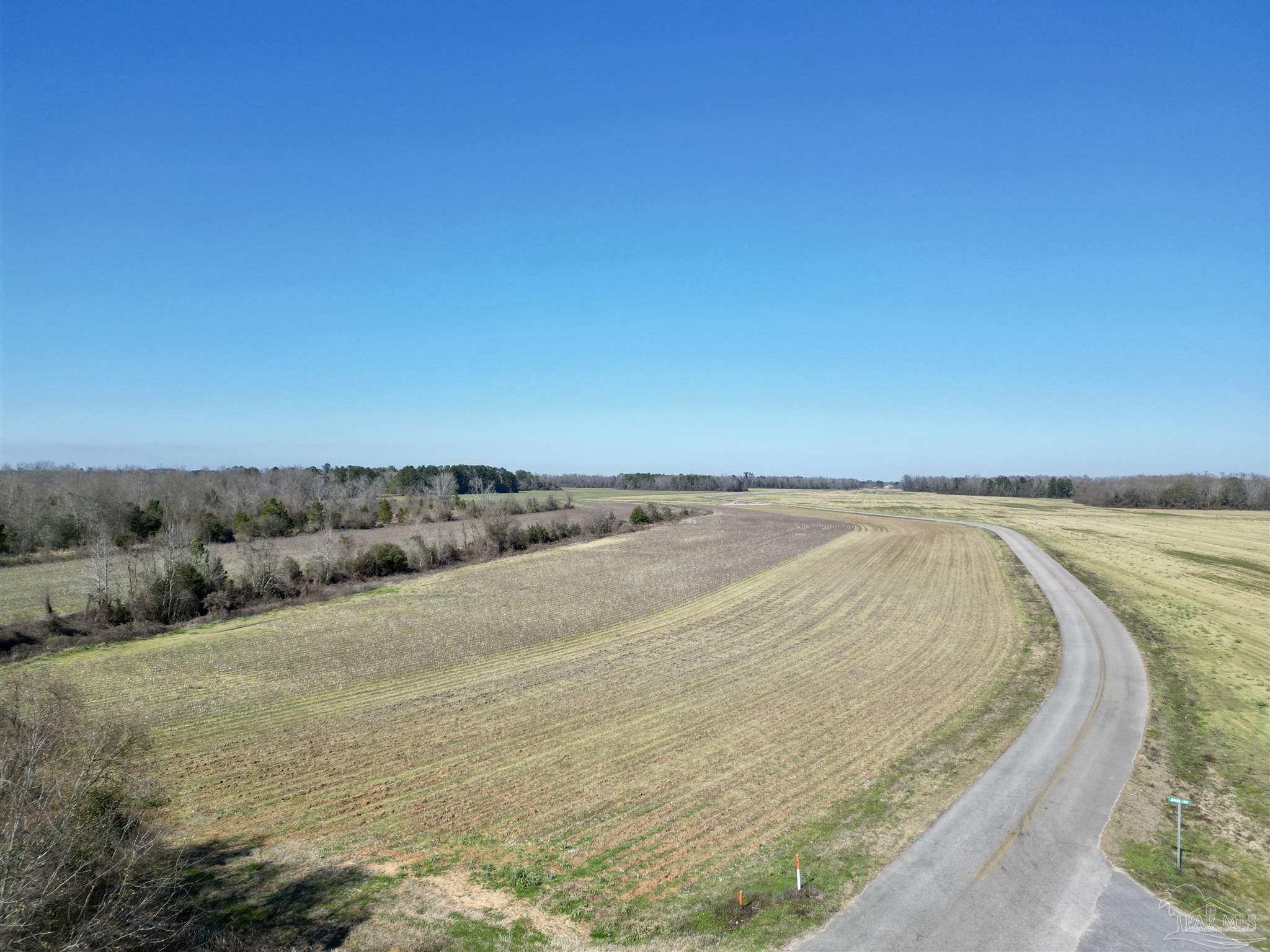 2 Cowpen Creek Road Atmore, AL 36502 - Photo 3 of 10