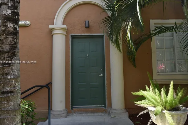 a close up of a potted plant