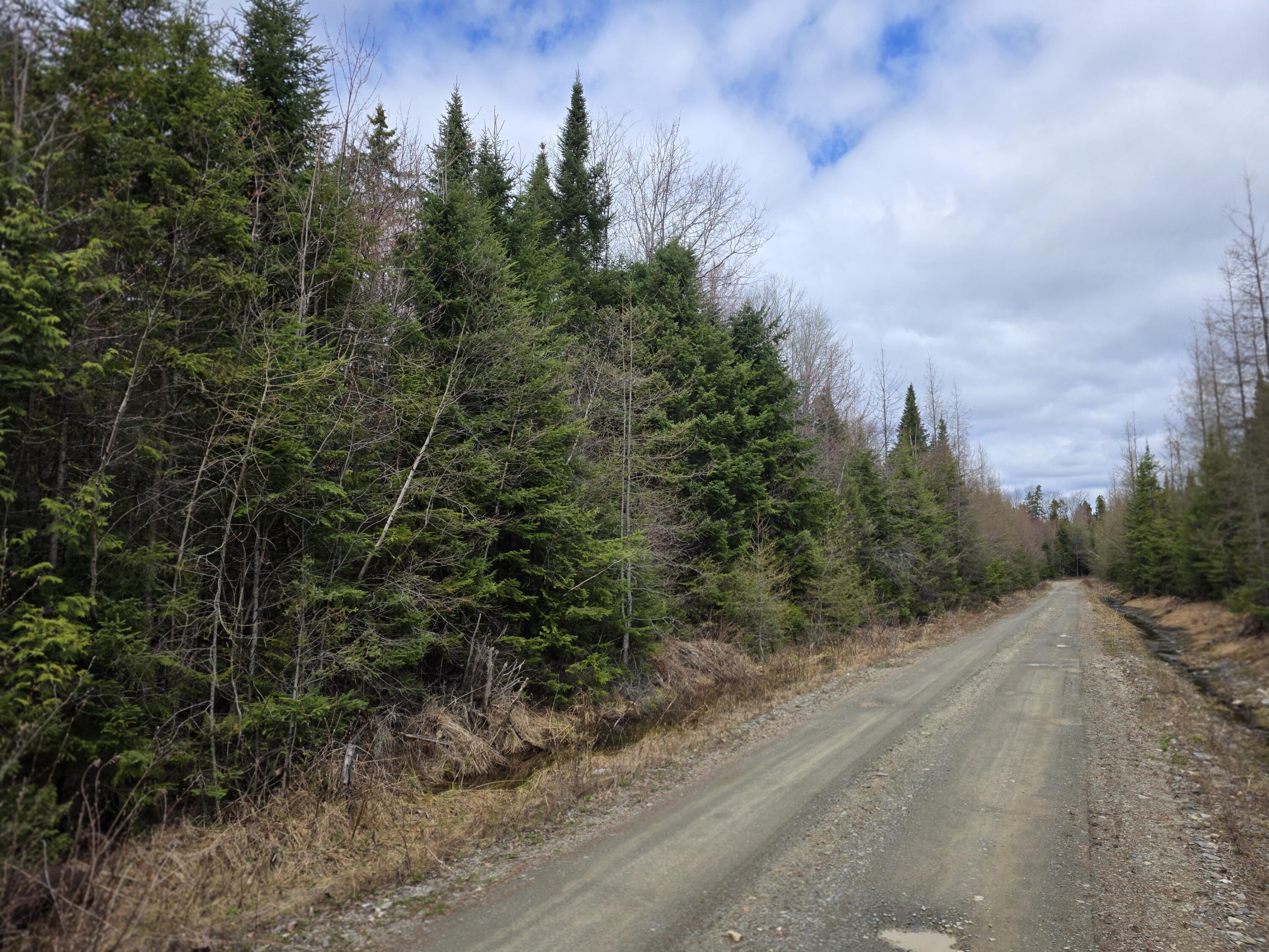 Ar105-p4 Jemtland Road Caribou, ME 04736 - Photo 3 of 6 20260512_114920