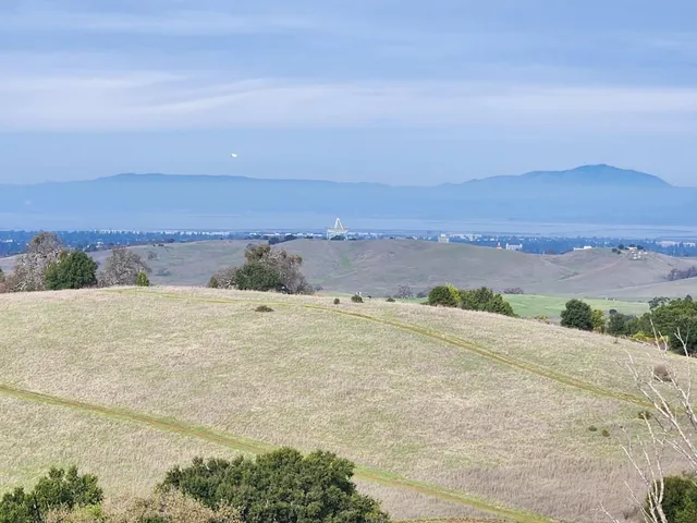 an aerial view of a forest with mountain