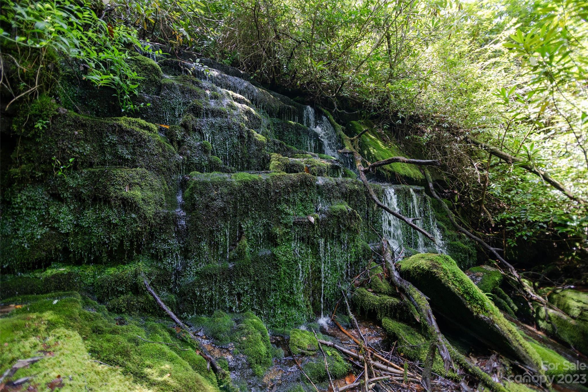 Tbd Nancy Mountain Road Rosman, NC 28772 - Photo 2 of 44 Gallery Image 2