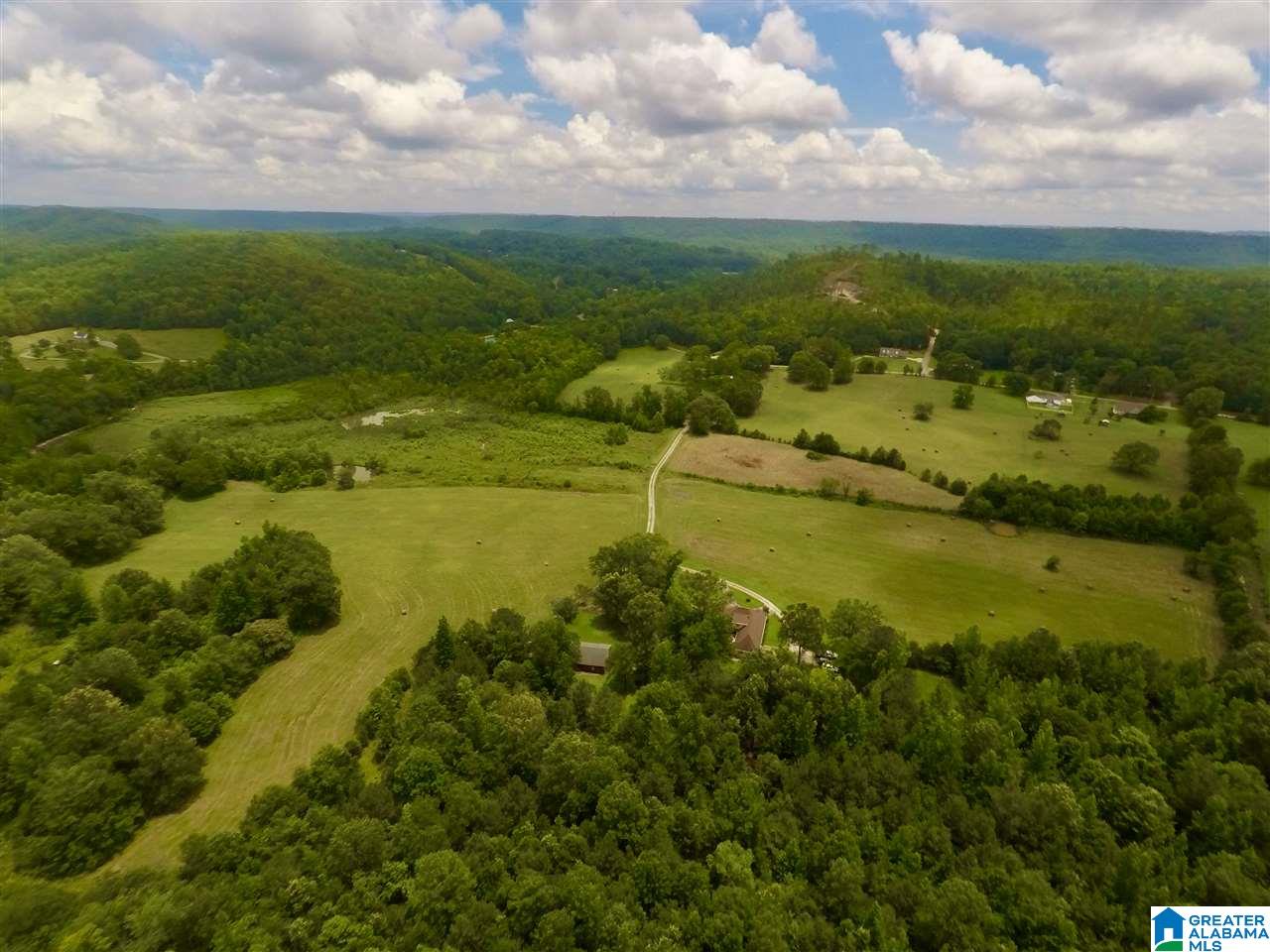 3775 Tidwell Hollow Road Oneonta, AL 35121 - Photo 46 of 49
