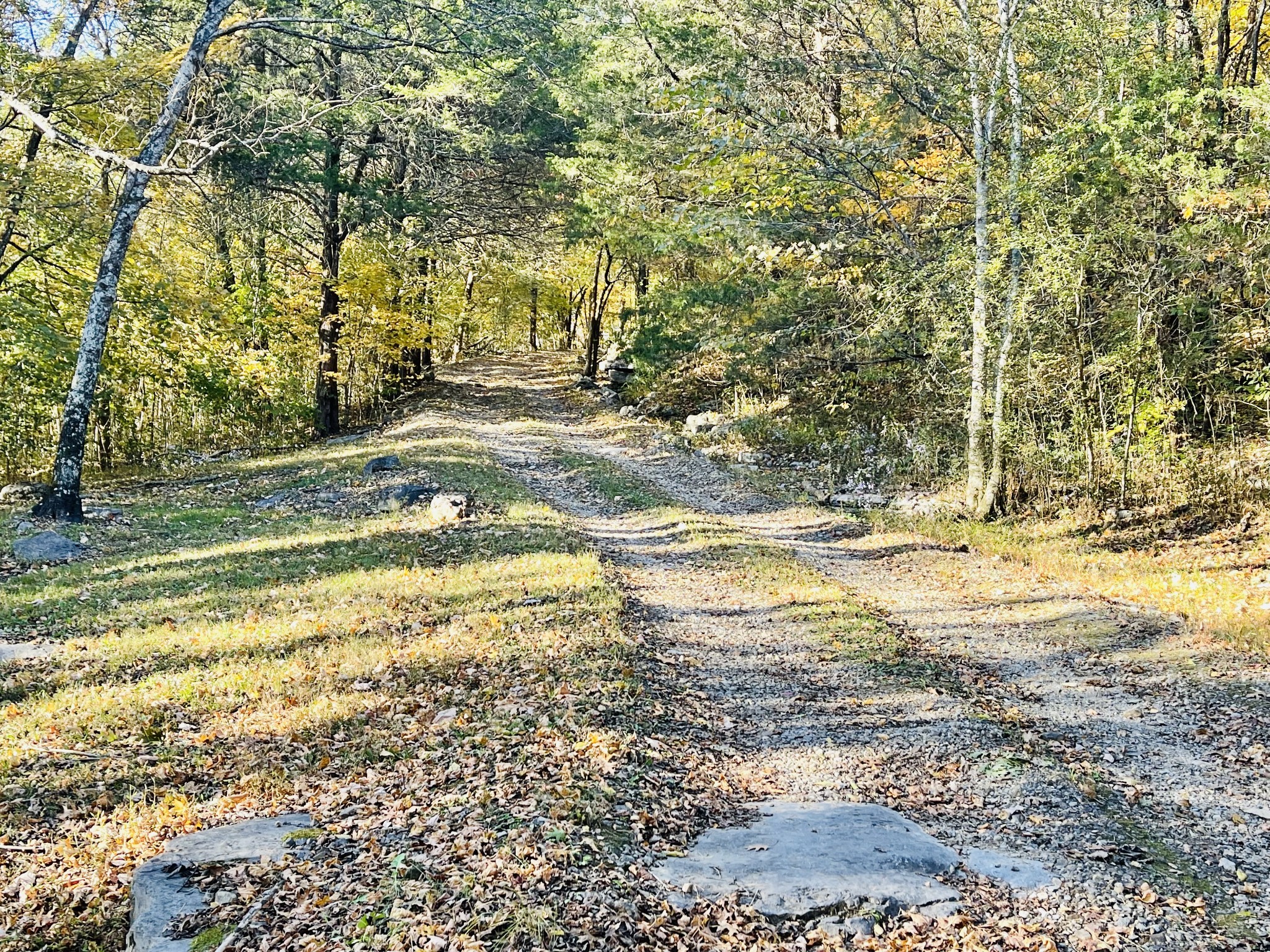 830 Red Hill Road Normandy, TN 37360 - Photo 14 of 56 a view of a yard with a tree