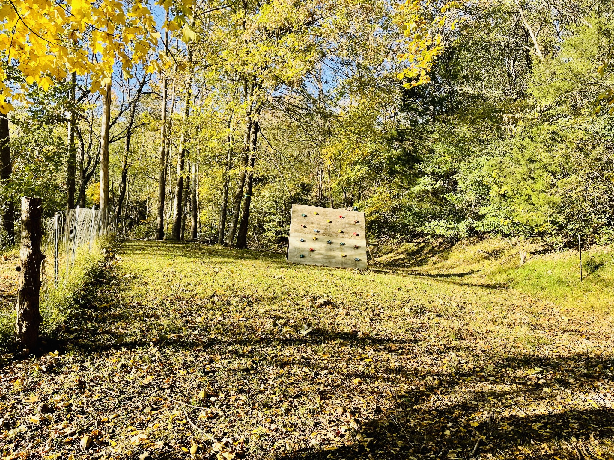 830 Red Hill Road Normandy, TN 37360 - Photo 15 of 56 a view of a yard with an trees