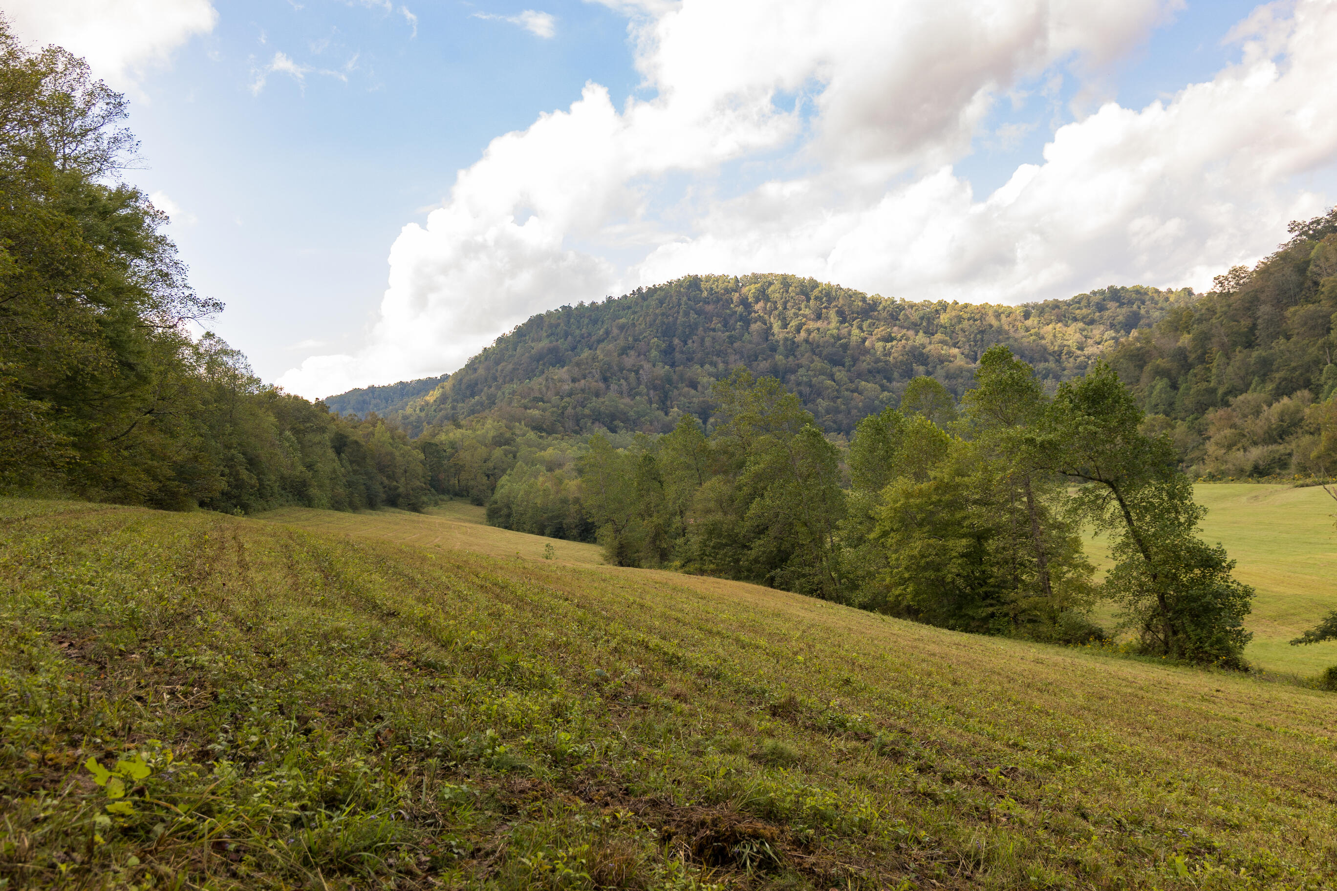 251 Everett Byrd Road Ricetown, KY 41364 - Photo 42 of 54 FO7A9264
