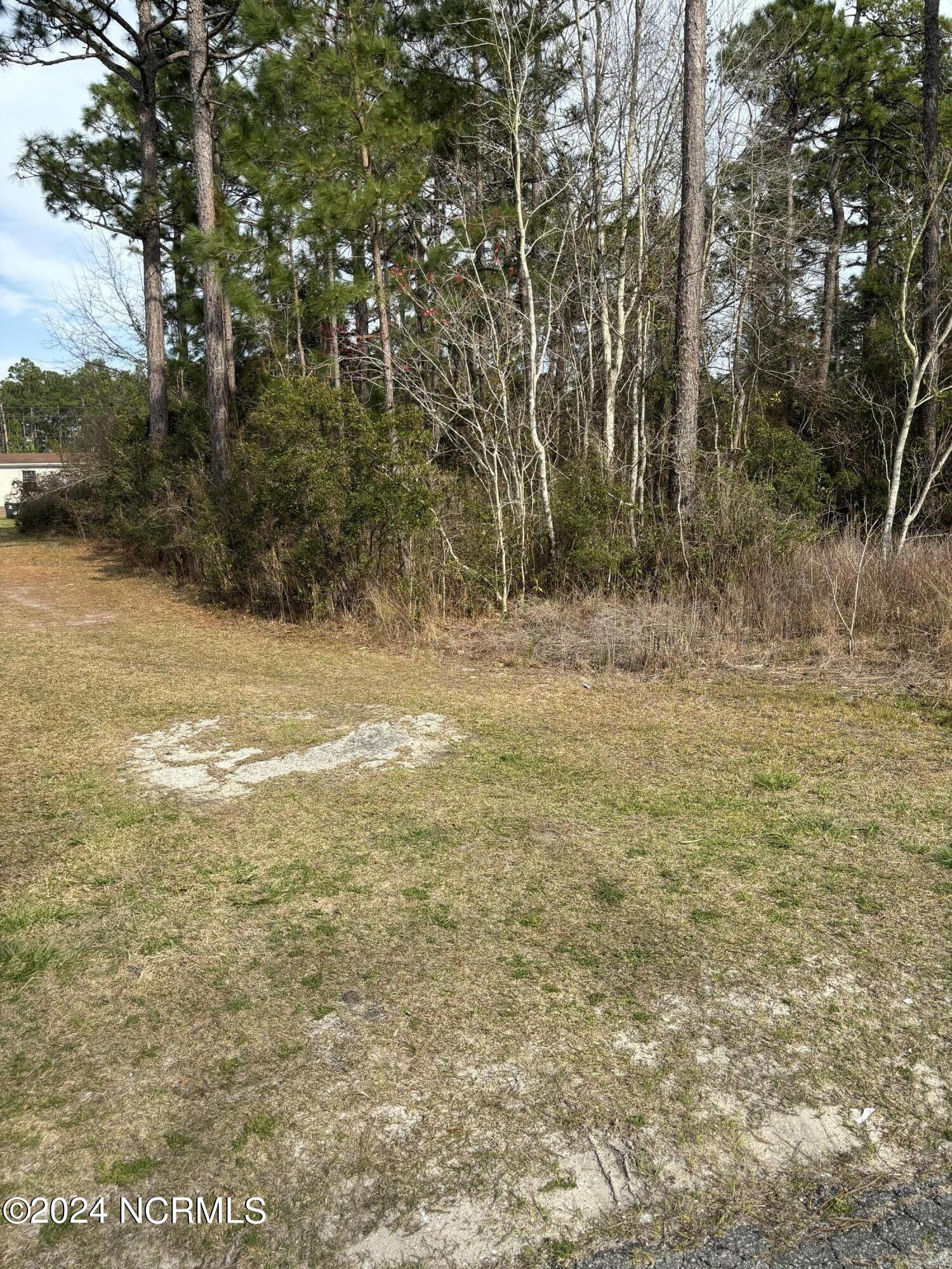 0 Woodcrest Road Southport, NC 28461 - Photo 3 of 5 woodcrest 1