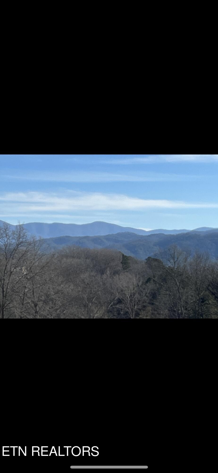 5 Fairview Road Tellico Plains, TN 37385 - Photo 10 of 11 Gallery Image 10