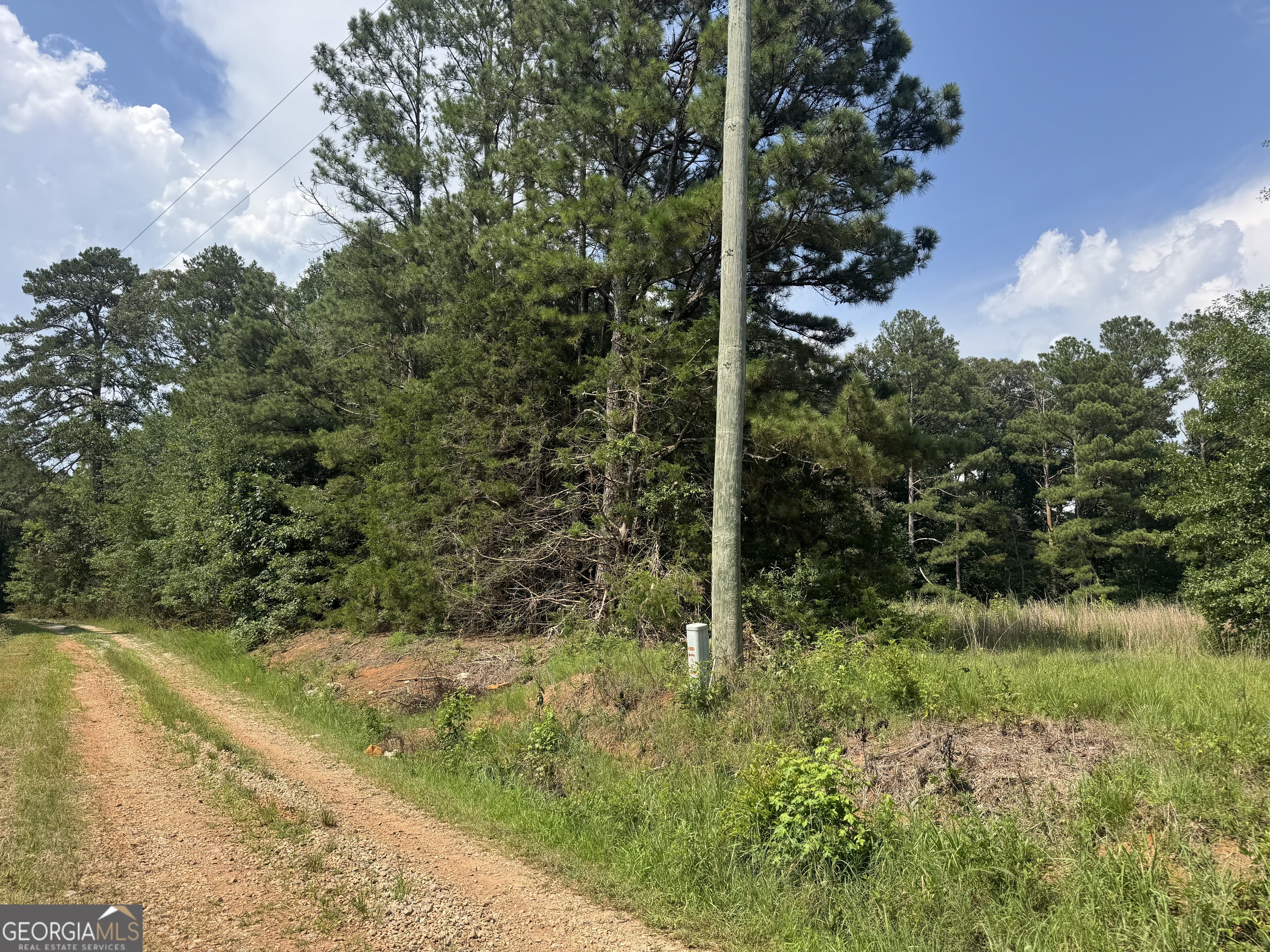 112 Melrose Road Bowdon, GA 30108 - Photo 16 of 17