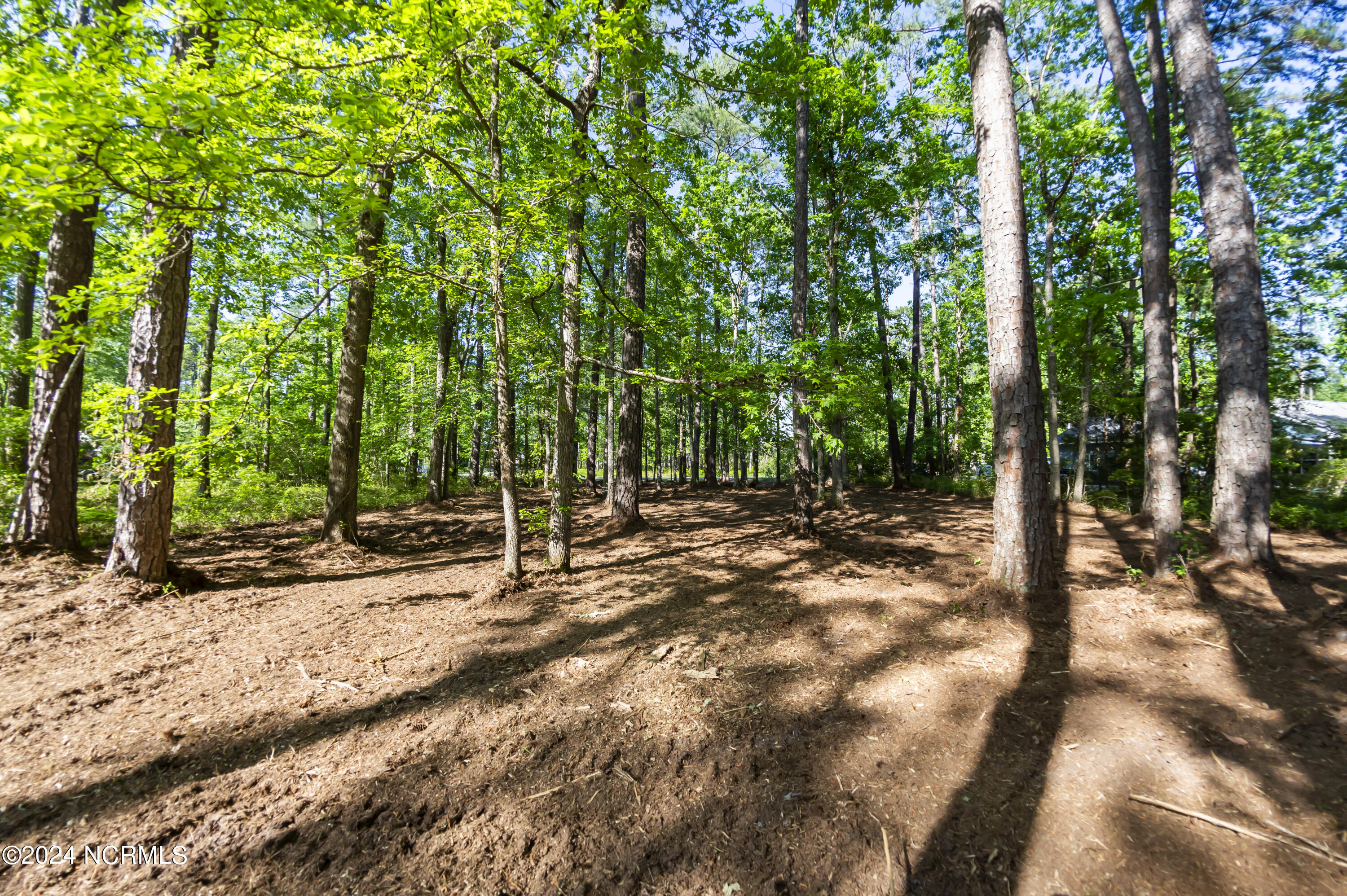 109 Spinnaker Point Road North Oriental, NC 28571 - Photo 10 of 18 Ready to Build