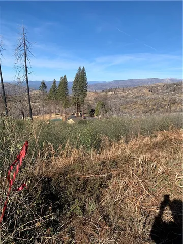 a view of a field with an ocean
