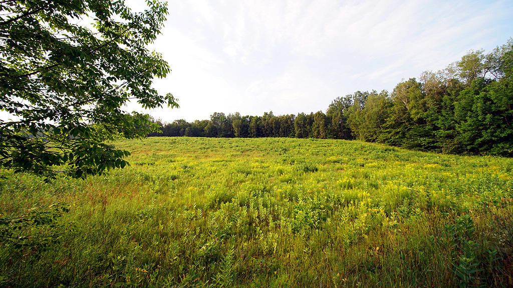 Lot 9-1 New Limerick Road Houlton, ME 04730 - Photo 20 of 40 leisner-maine-land-6