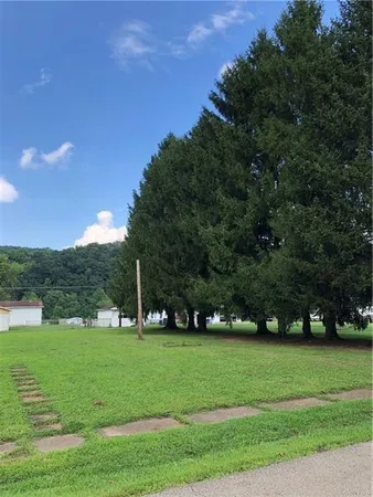 a view of green field