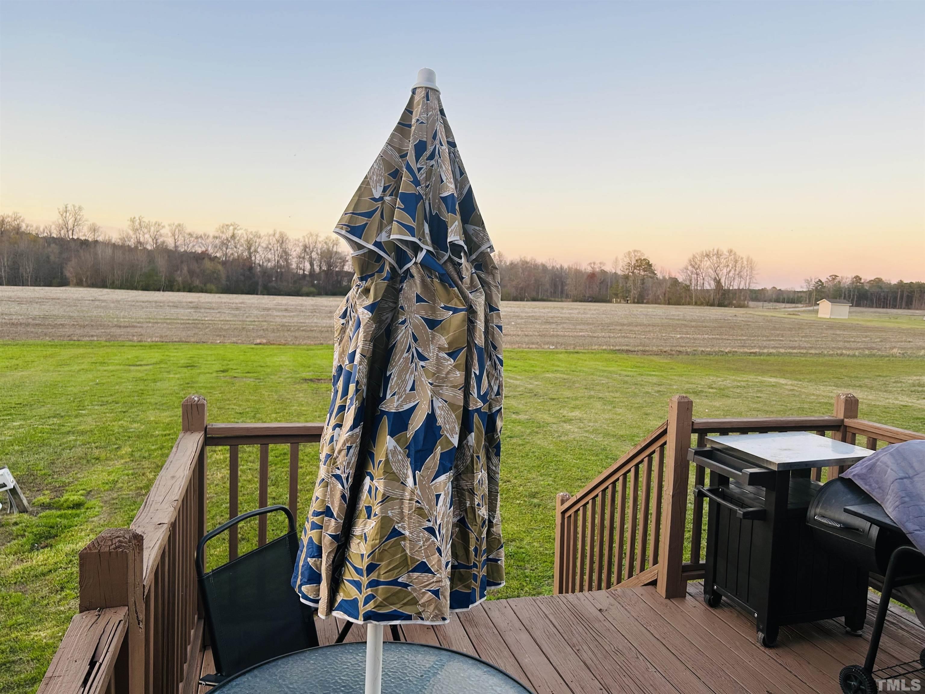 5524 Scuppernong Road Wilson, NC 27893 - Photo 11 of 37 a view of a balcony with lake view