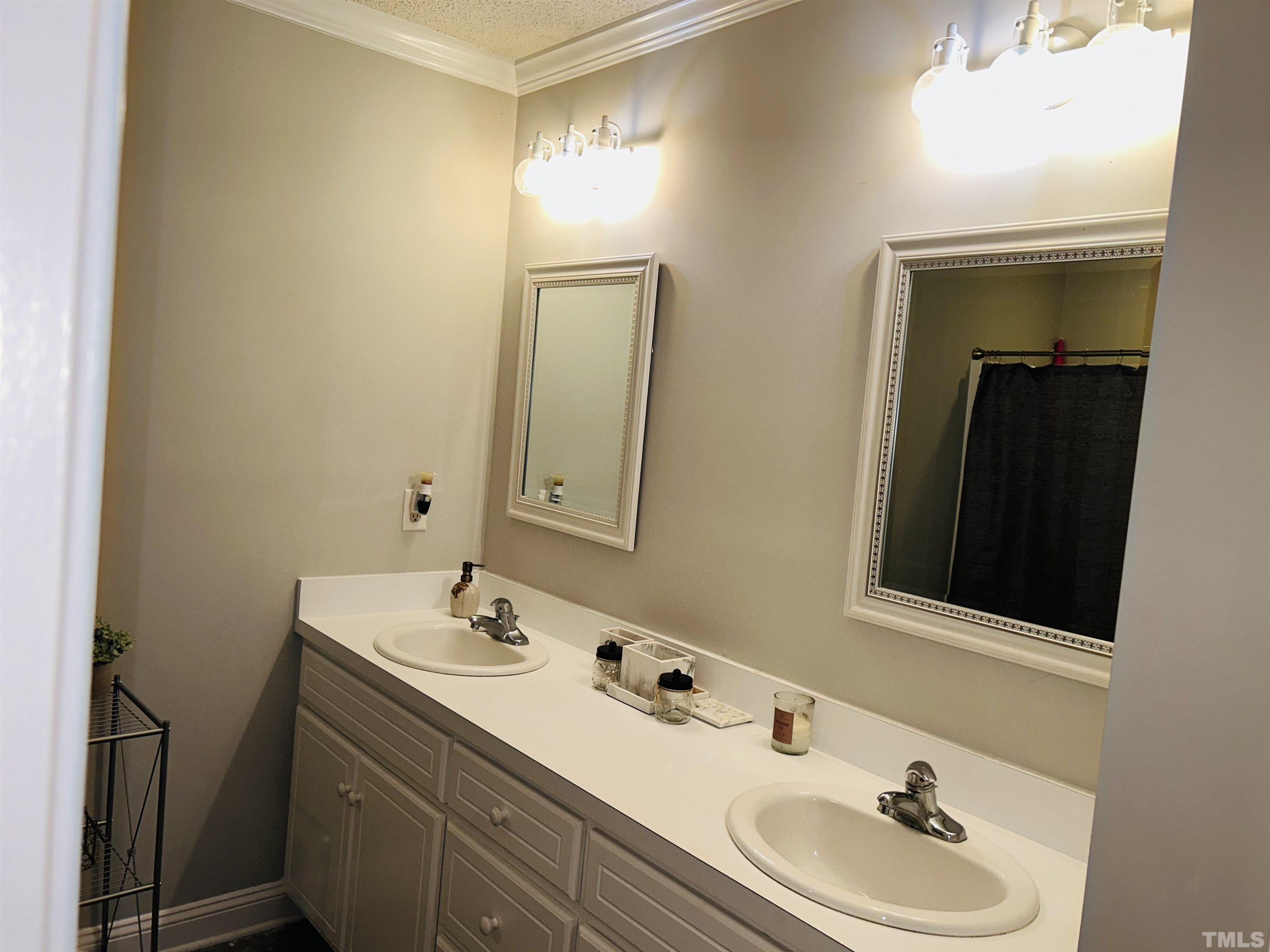 5524 Scuppernong Road Wilson, NC 27893 - Photo 30 of 37 a bathroom with a sink and a mirror