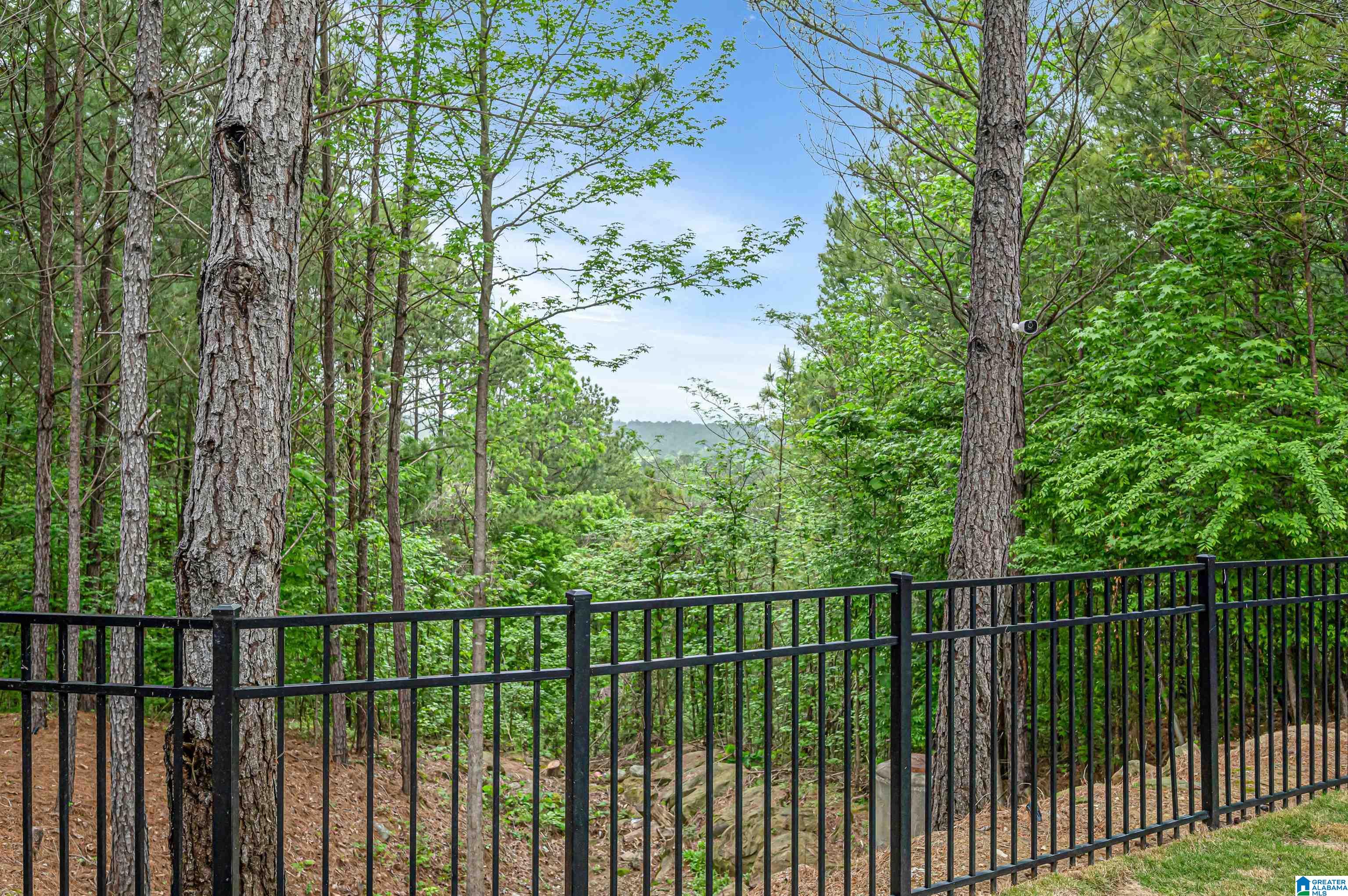 813 Rosebury Road Helena, AL 35080 - Photo 58 of 73