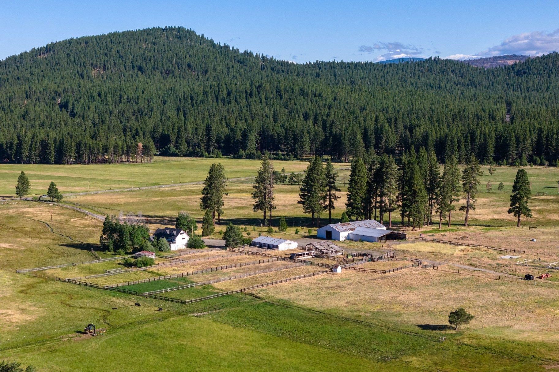 22440 Highway 89 Calpine, CA 96124 - Photo 4 of 27