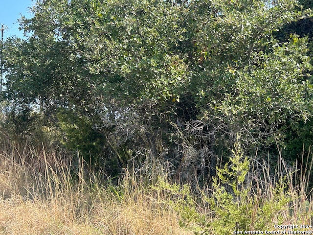 134 George Dolson Blanco, TX 78606 - Photo 11 of 17 a view of a yard with plants and wooden fence