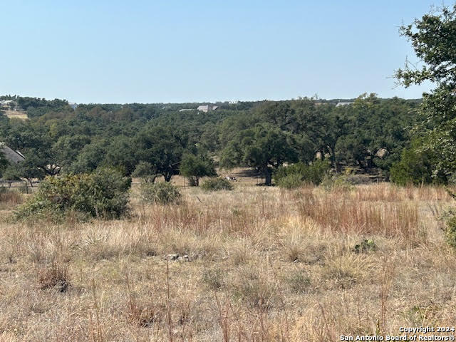 134 George Dolson Blanco, TX 78606 - Photo 2 of 17 a view of a dry yard with trees