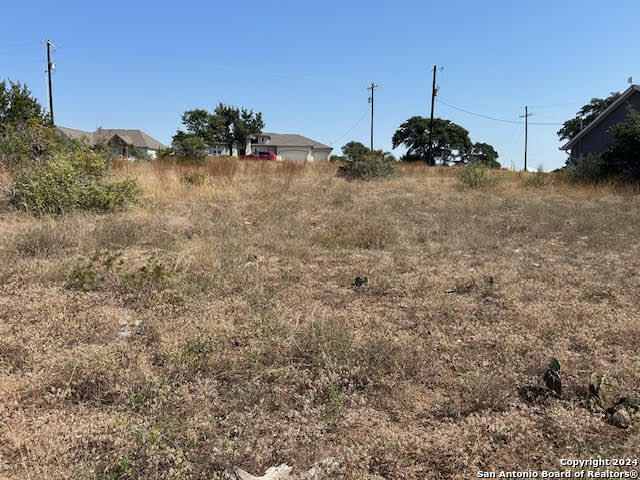 134 George Dolson Blanco, TX 78606 - Photo 8 of 17 a view of a dry yard