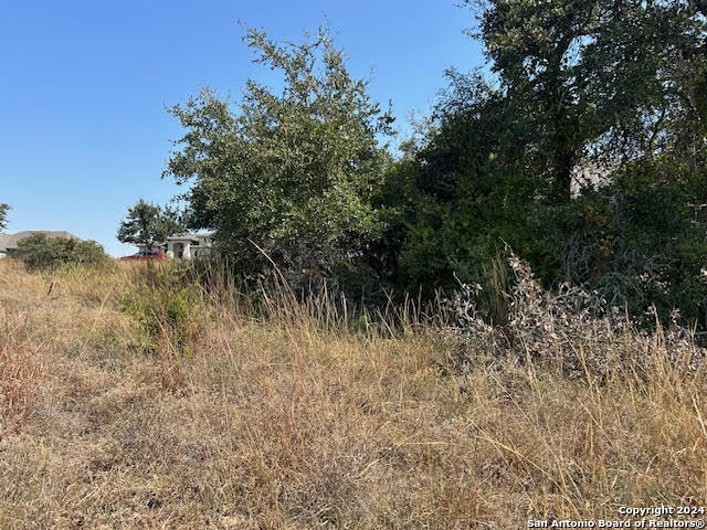134 George Dolson Blanco, TX 78606 - Photo 10 of 17 a view of a yard with a tree