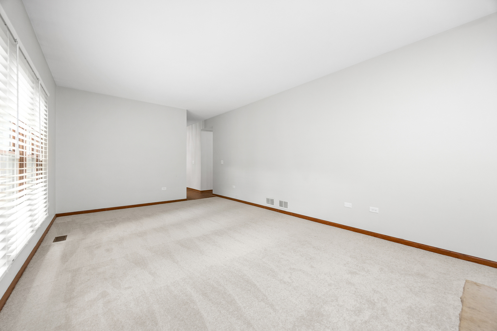 533 Springwood Lane Bolingbrook, IL 60440 - Photo 29 of 44