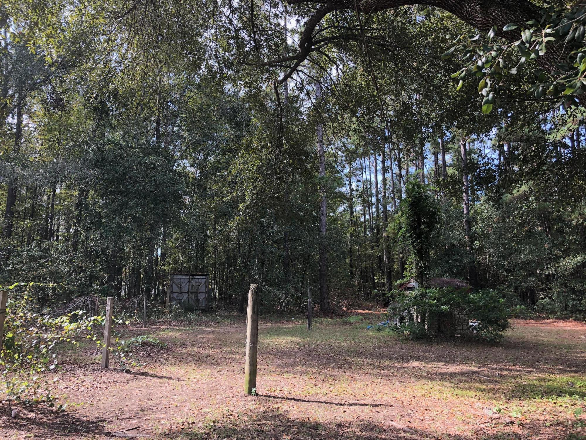 460 Smoak Road Walterboro, SC 29488 - Photo 3 of 17 Yard