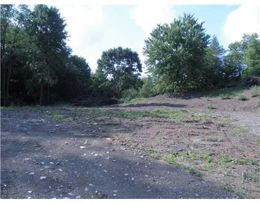 190 Frankfort Springs Road Georgetown, PA 15043 - Photo 2 of 5 Land/Lot.