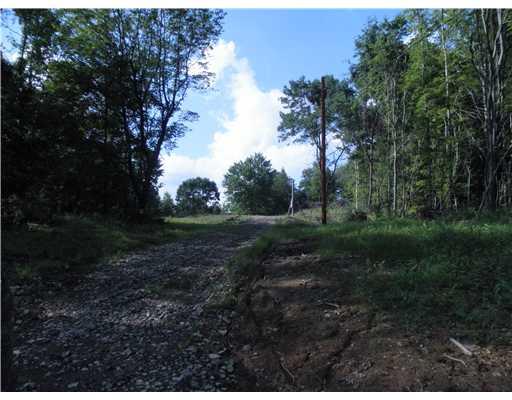 190 Frankfort Springs Road Georgetown, PA 15043 - Photo 3 of 5 Land/Lot.