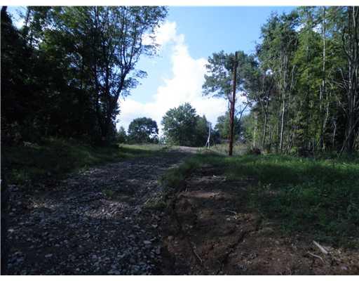 190 Frankfort Springs Road Georgetown, PA 15043 - Photo 4 of 5 Land/Lot.