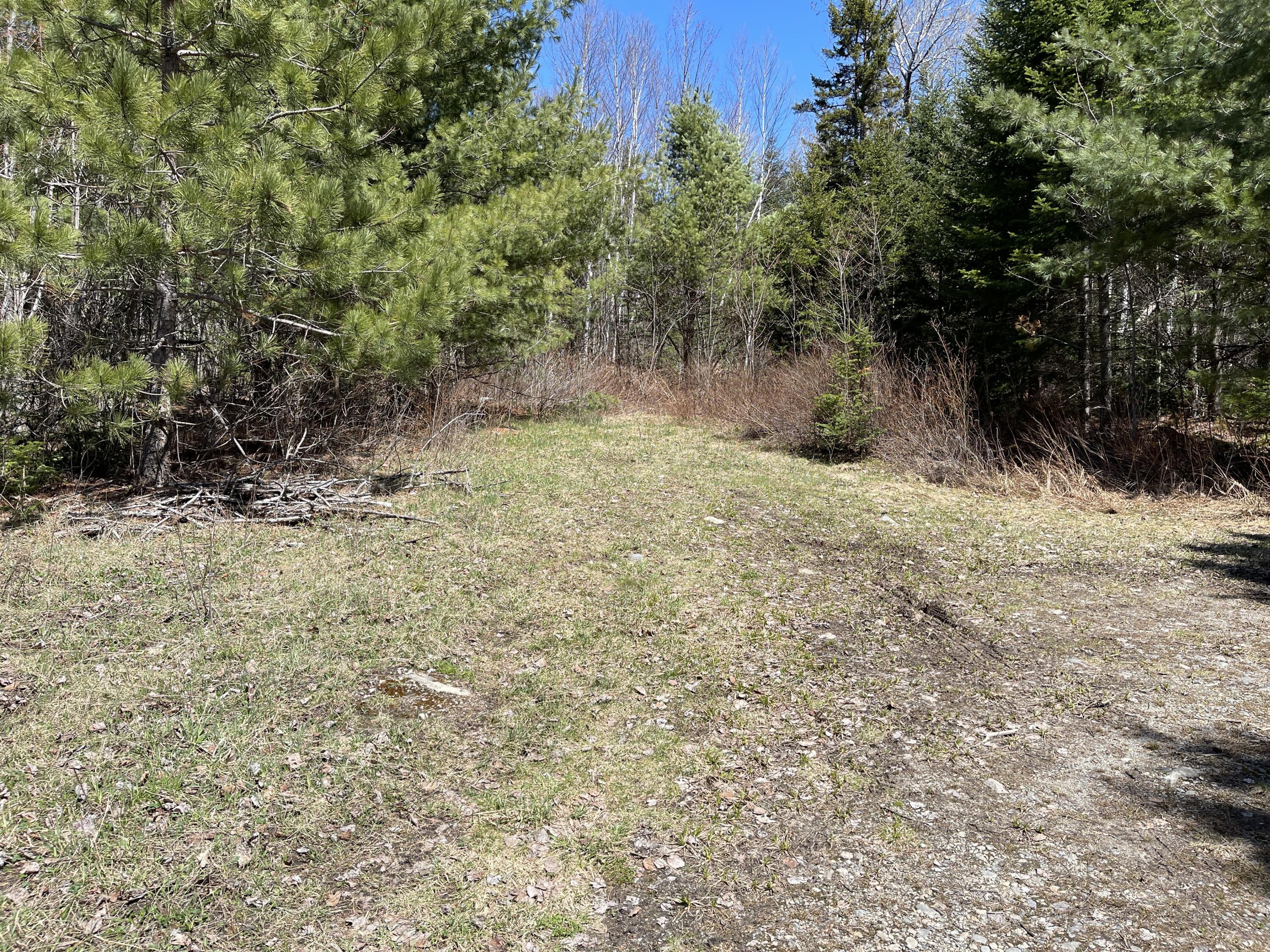 M1-l31 M1-l31 Bemis Road Oquossoc, ME 04964 - Photo 4 of 8 IMG_3528