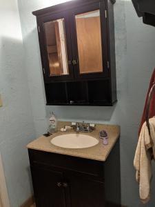 303 King Byron Road Scroggins, TX 75480 - Photo 10 of 11 a bathroom with a sink and a mirror