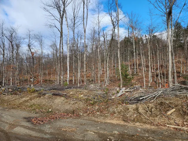 $32,500 | Lot 7 East Dow Farm Rd Island Falls, Island Falls, ME 04747